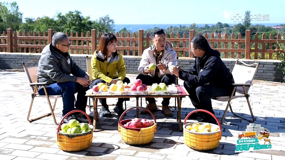 北京协和医院黄牛代挂号电话票贩子号贩子网上预约挂号,住院检查加快,从一颗庆阳苹果的旅程，窥见中国农业的现代化答卷
