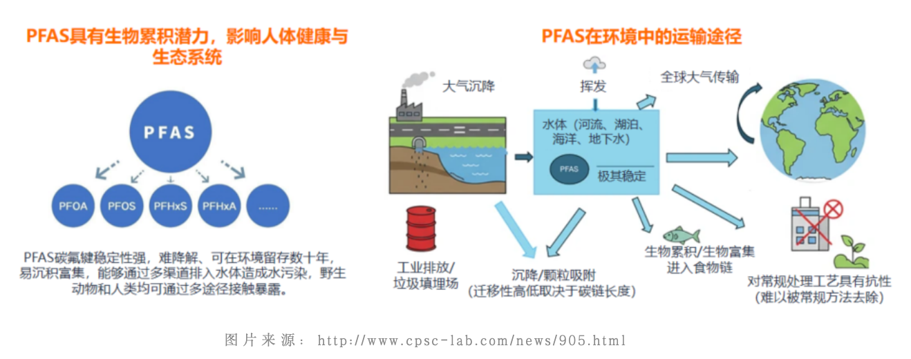 国际期刊最新研究：揭示含氟眼药水成分可造成肝脏代谢隐患？