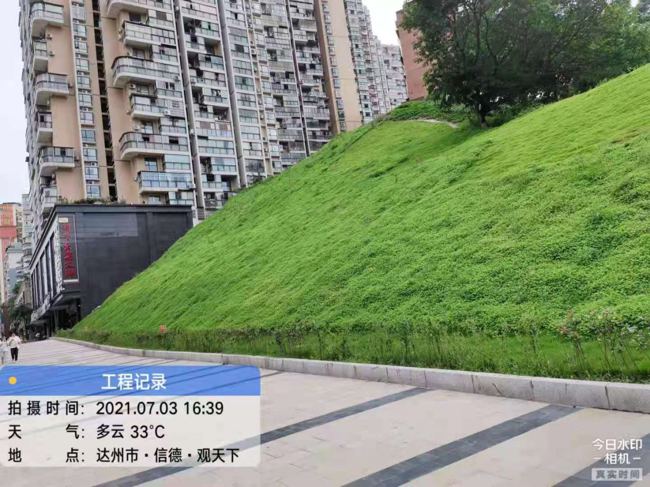 四川省达州市金龙大道边坡生态