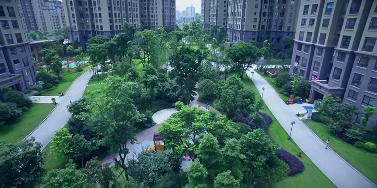 与自然共舞，感受城市绿色魅力