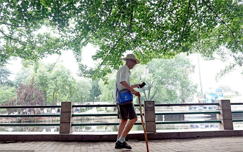 被智能时代遗忘，一群老人的“AI求生记” 