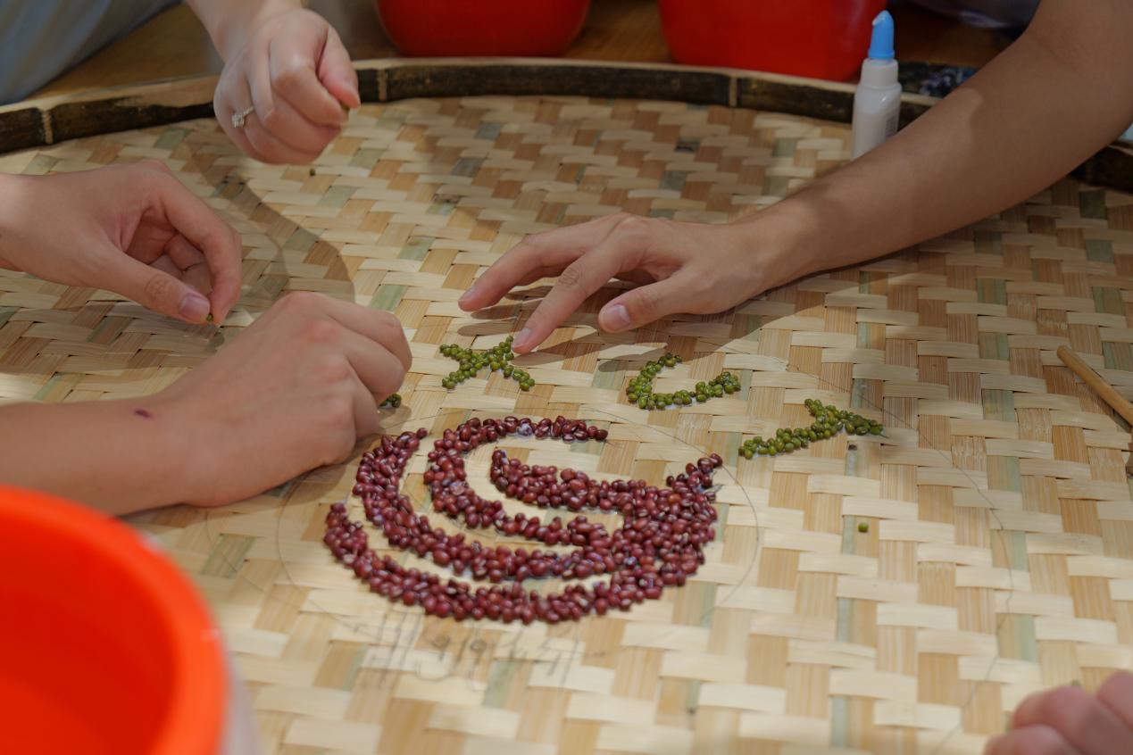 豆豆2
