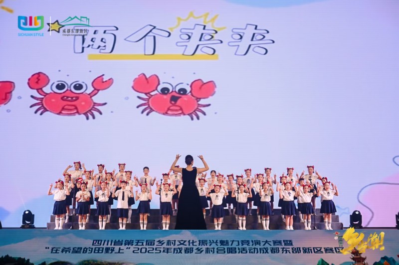 舞动乡村，唱响未来，成都东部新区奏响乡村振兴“文化乐章”