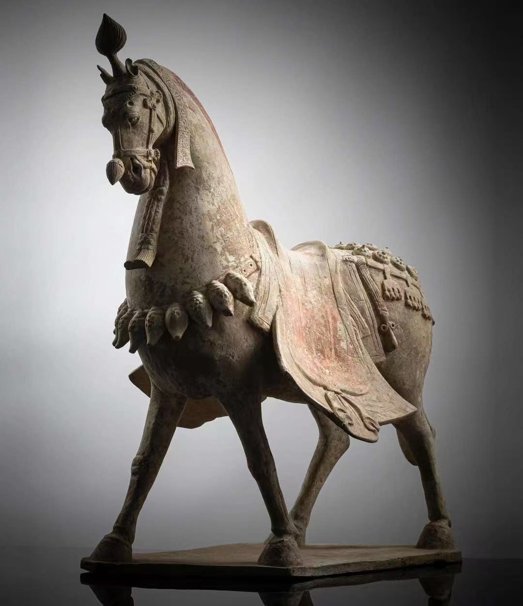 14200906ed911f54bd77ac6b01ed8a03