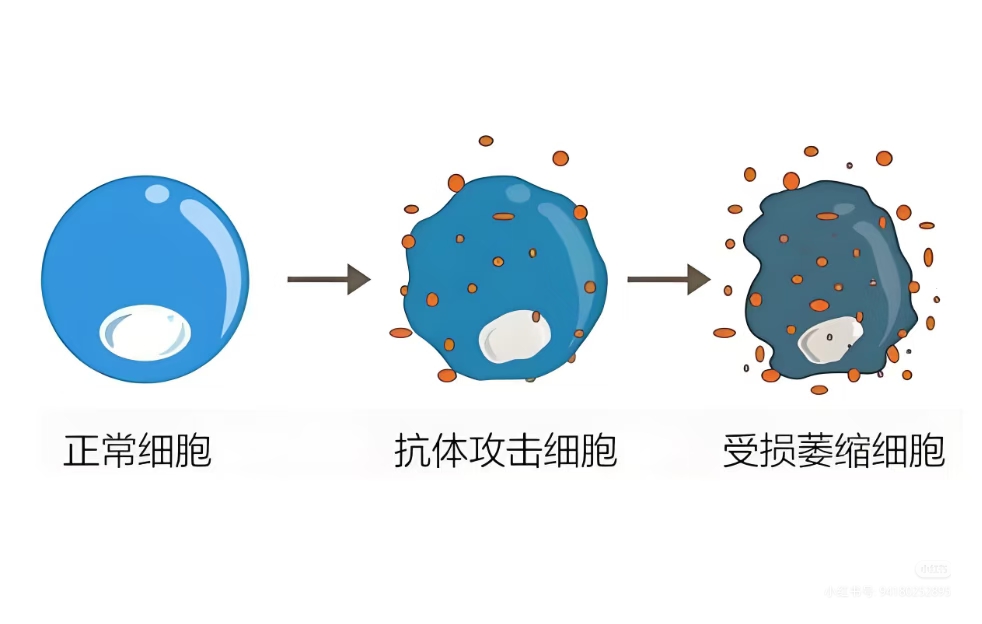 b3aa1d8ee11a3233946d9d7497ba0732