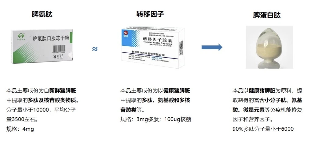 微信图片_20251218134508_1622_4
