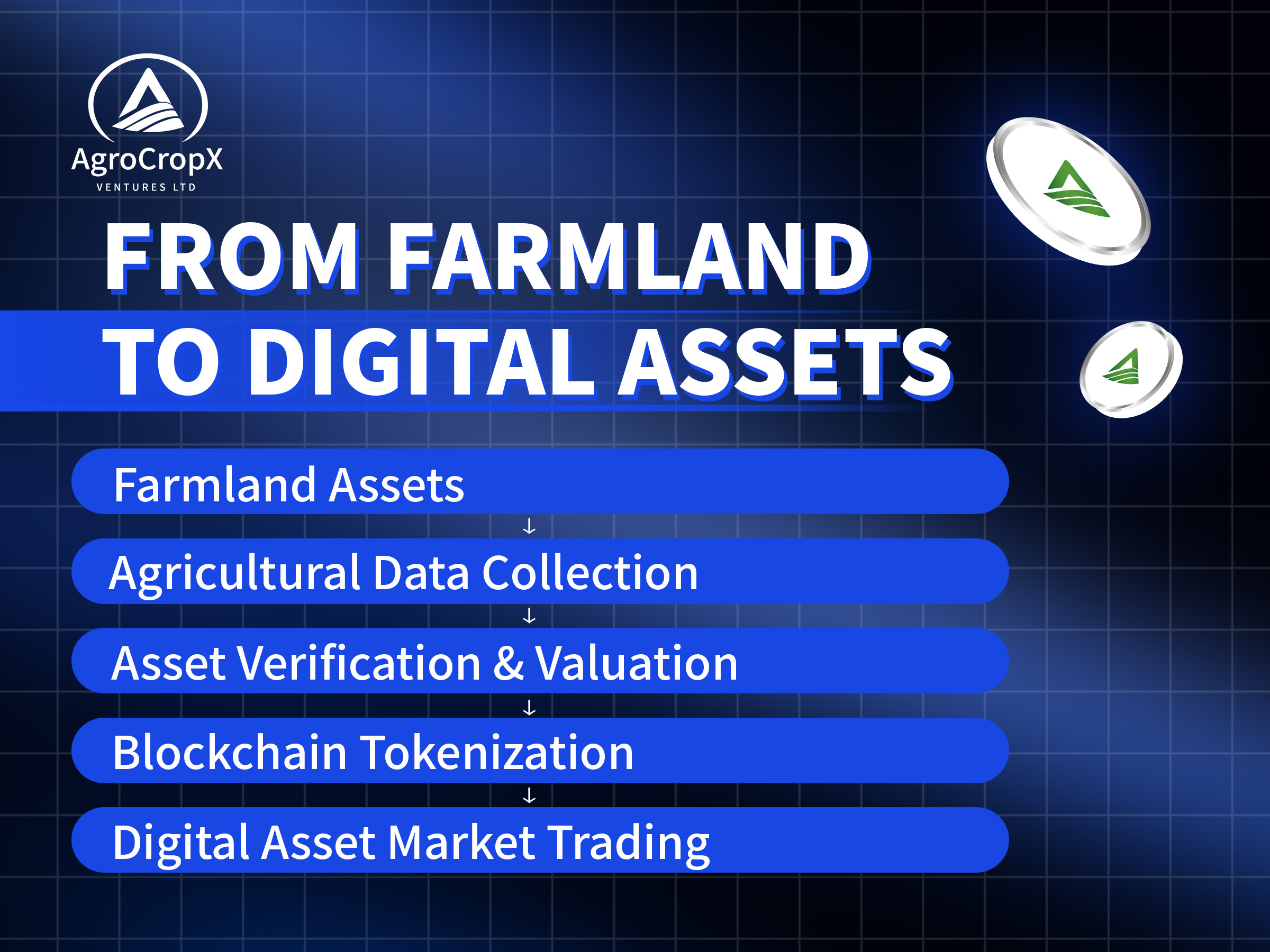 AgroCropX & ACC：农业能否成为下一代全球数字资产？