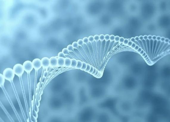 474e459ec5829279bc8d588916f73730