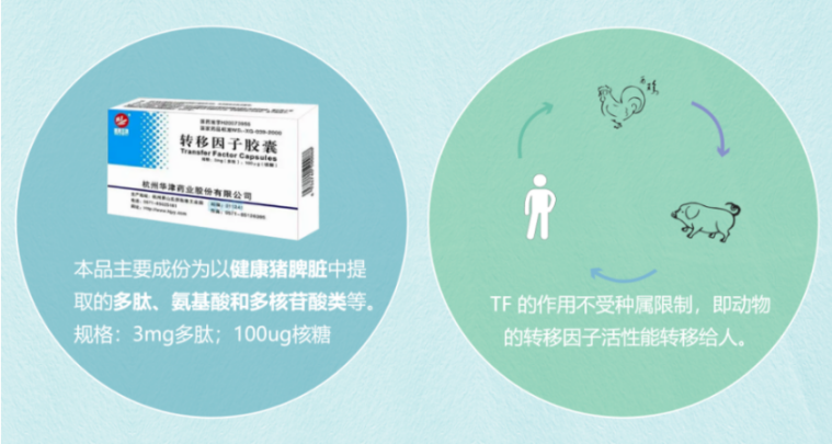免疫与骨骼双重守护成健康新刚需，华缔
