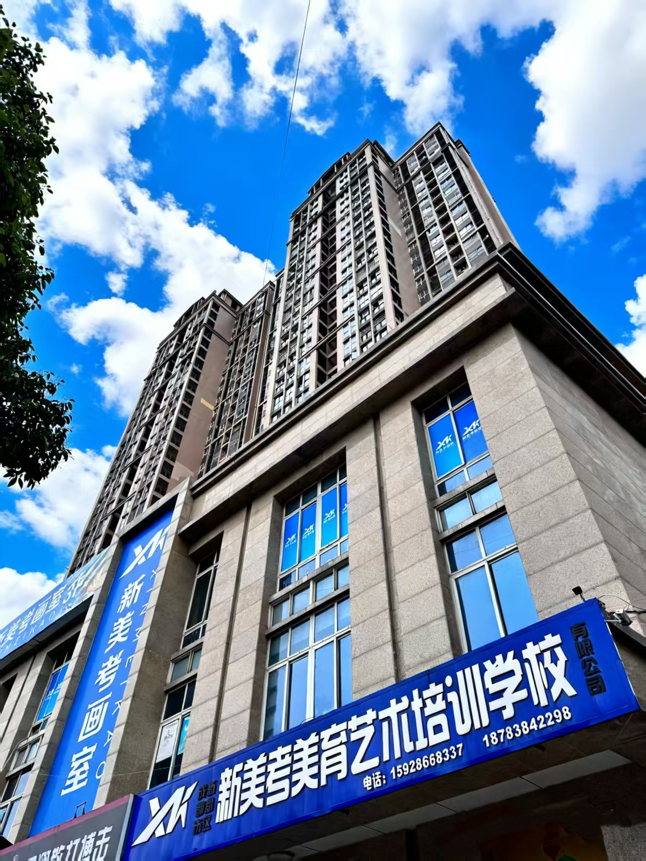 成都新美考画室：14年深耕艺考教育，以录取实力定义行业标杆