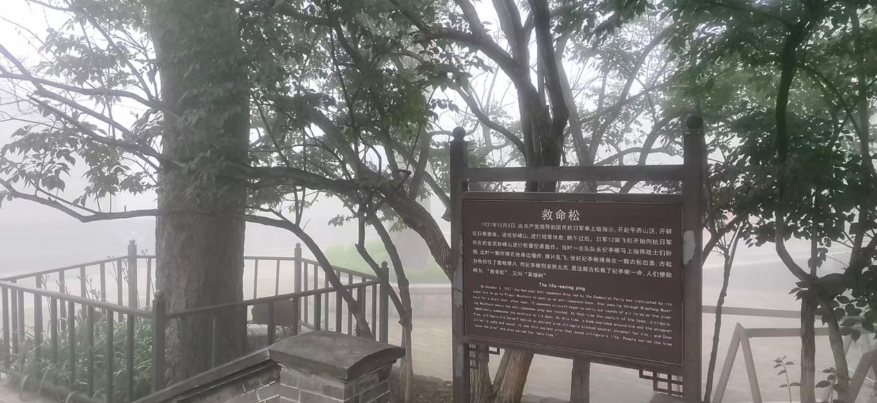 微信图片_20260711151505_59_131