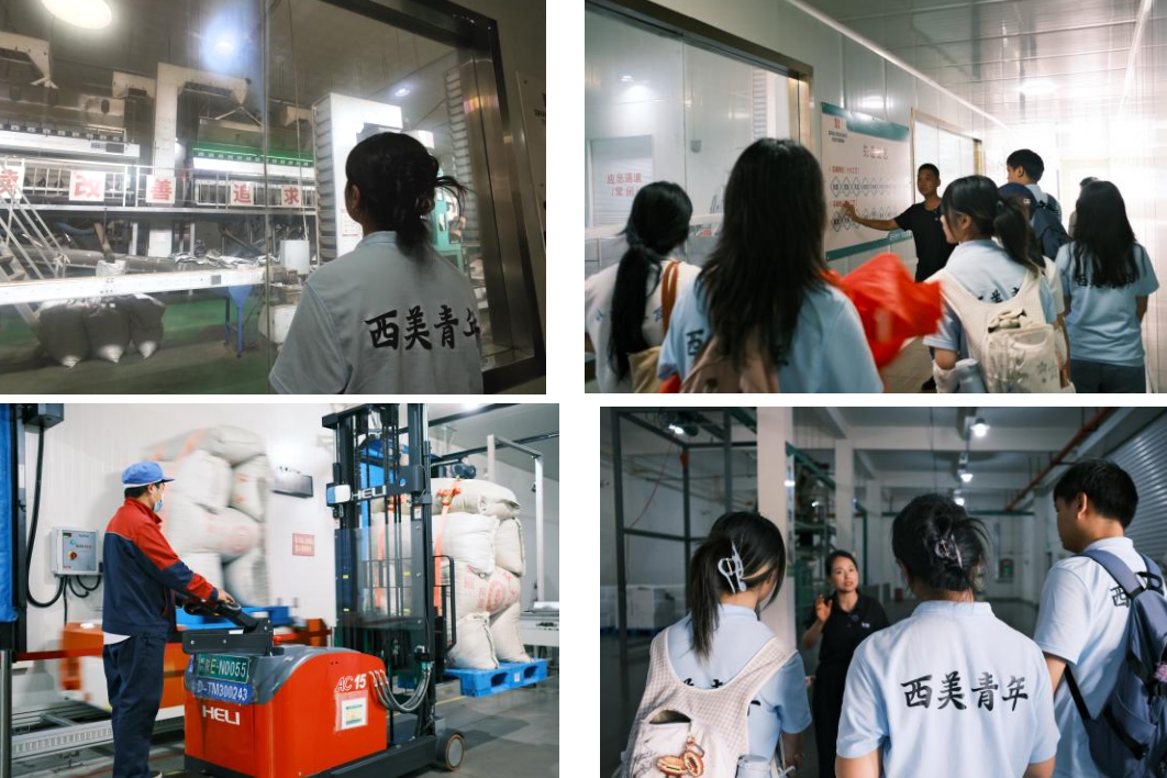 艺播椒香，美创助农｜跨媒体艺术系三下乡助农专场直播绘就韩城乡村振兴青春答卷第4张