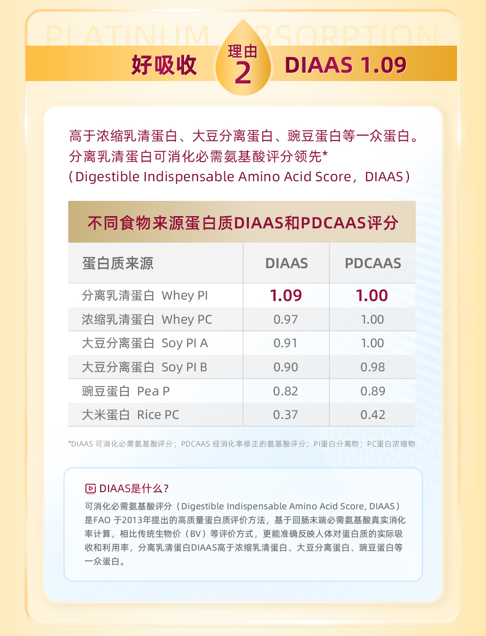 拜瑞斐WPI_9