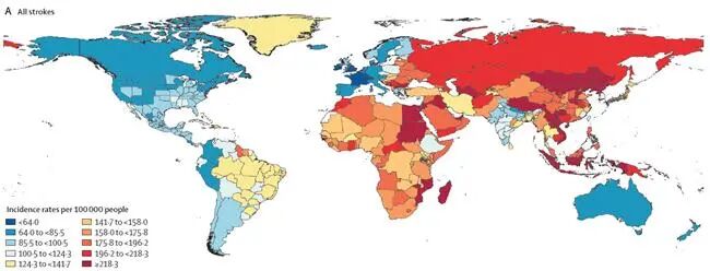 IMG_256